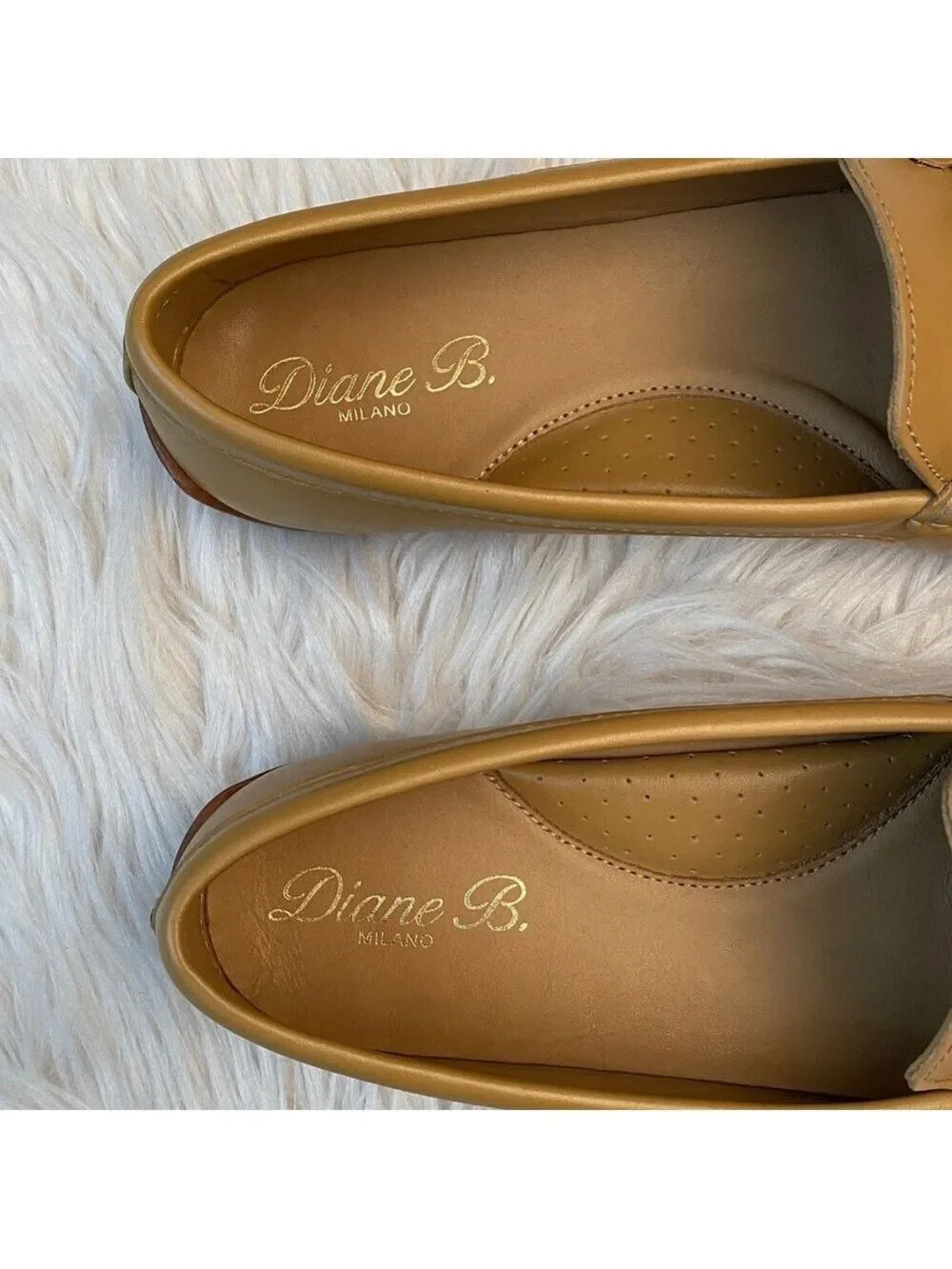 Diane B. diane tortoise